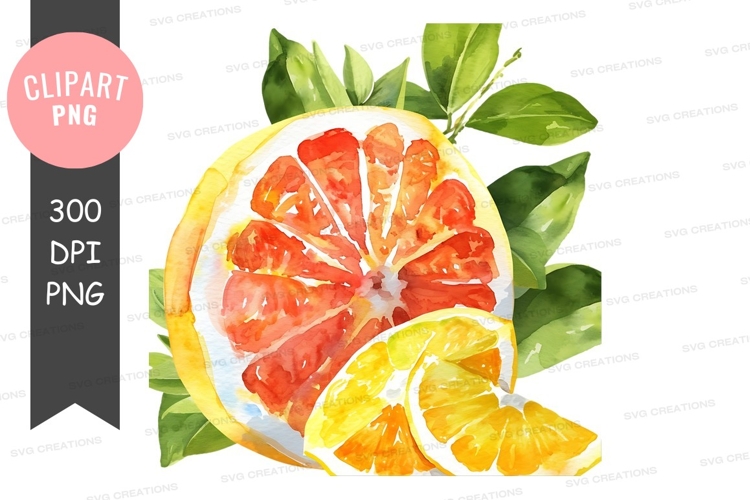 Citrus Clipart Image 4