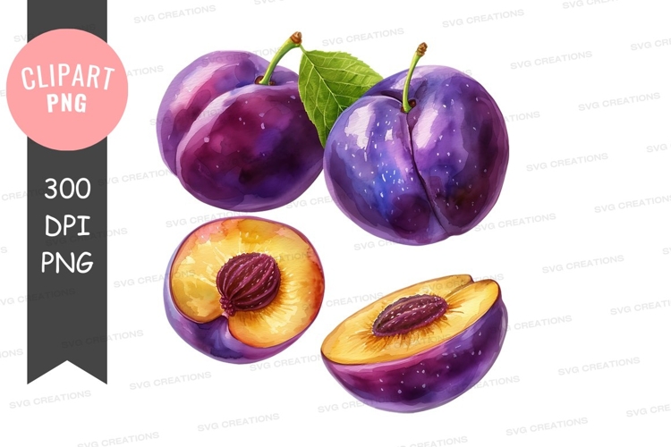 Plum Clipart Image 3