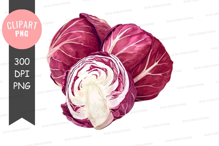 Vegetables PNG Image 2