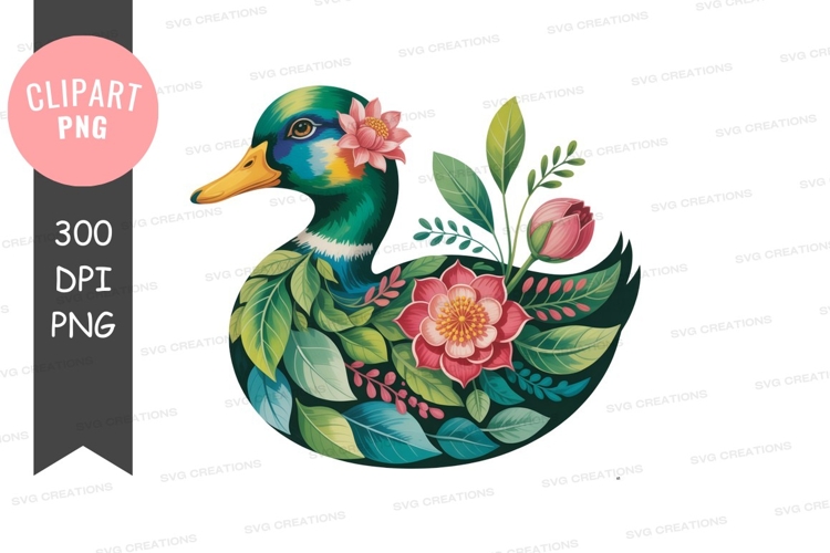 Duck Illustration Image 10