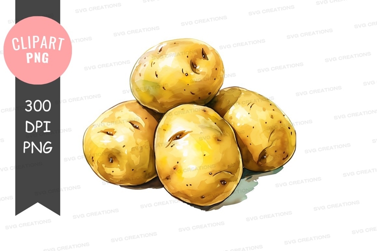 Vegetables PNG Image 23