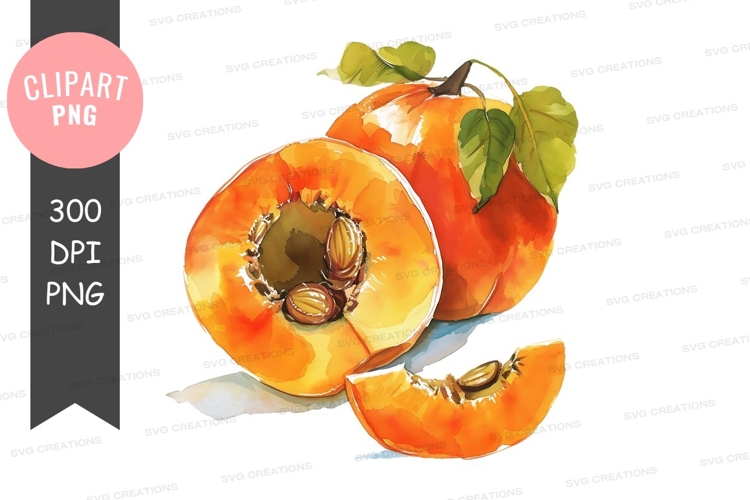 Fruit Illustration Image 22