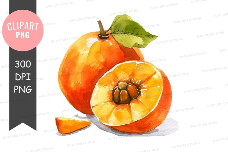 Fruit Illustration Image 11