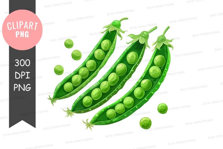 Vegetables PNG Image 19