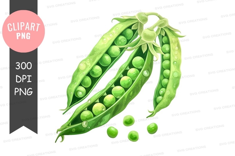 Vegetables PNG Image 17