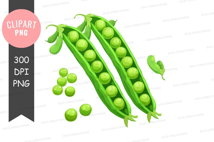 Vegetables PNG Image 16