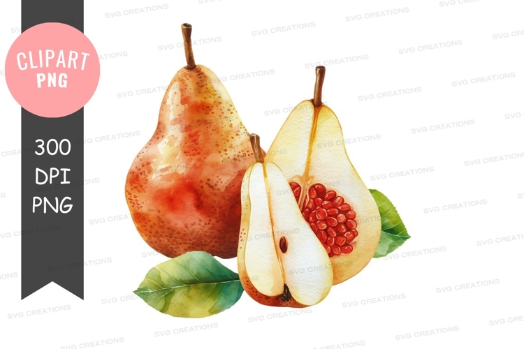 Pear Clipart Image 24