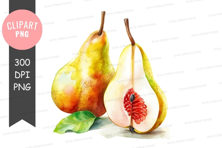 Pear Clipart Image 10