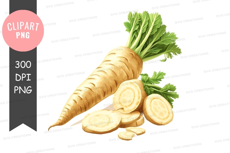 White carrot clipart png