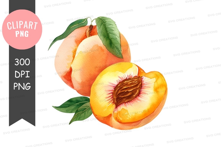 Peach Illustration Image 14