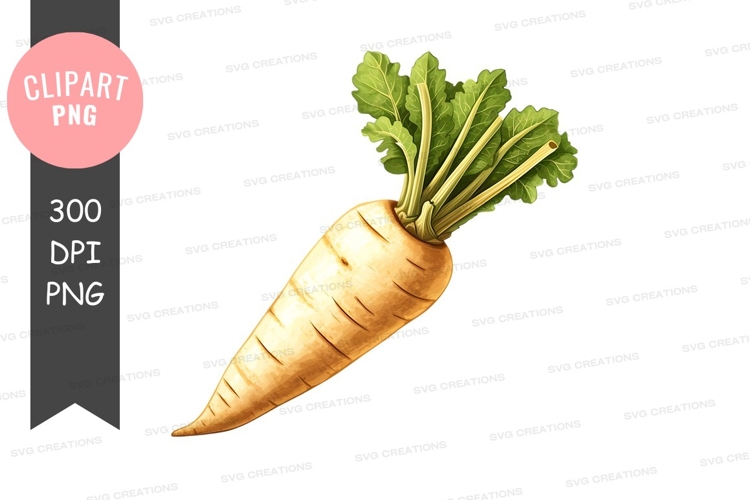 Fresh carrot clipart png