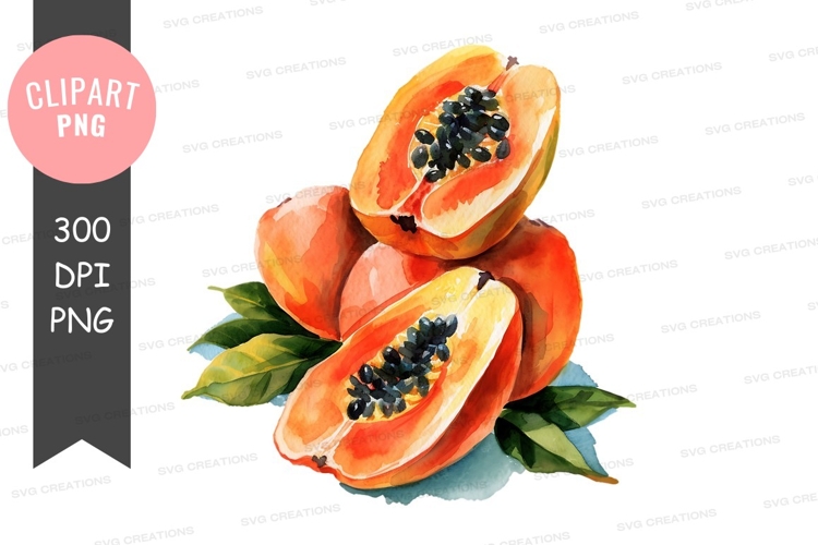 Fruit Clipart Image 11
