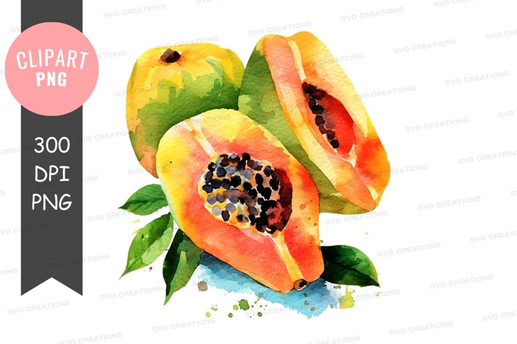 Nature Illustration Image 19