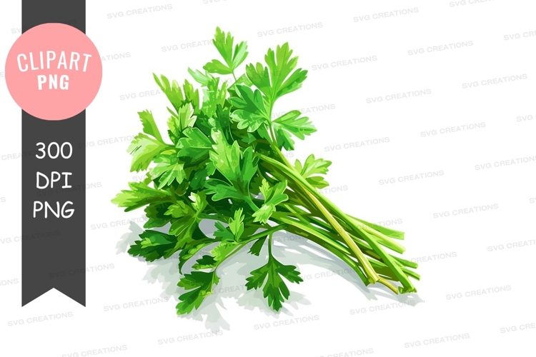 Vegetable Clipart Image 9