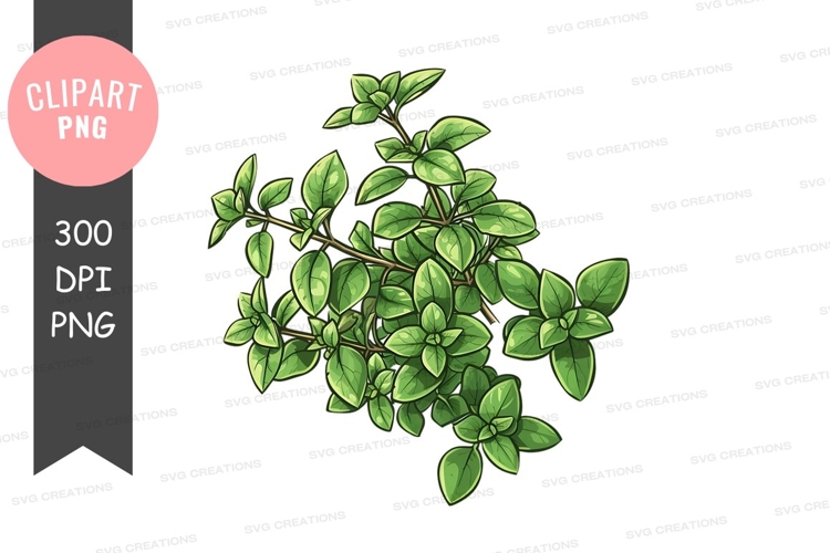 Vegetable Illustration Image 23