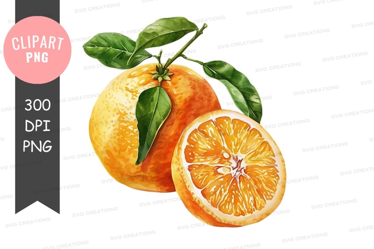 Pear Clipart Image 8