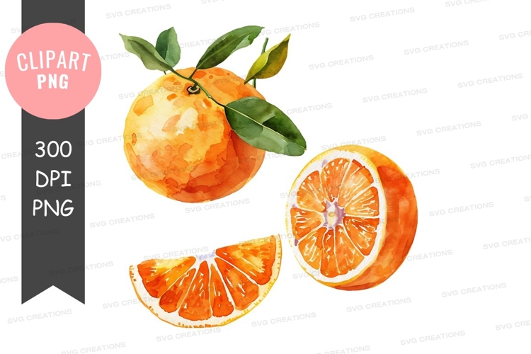 Peach Clipart Image 11