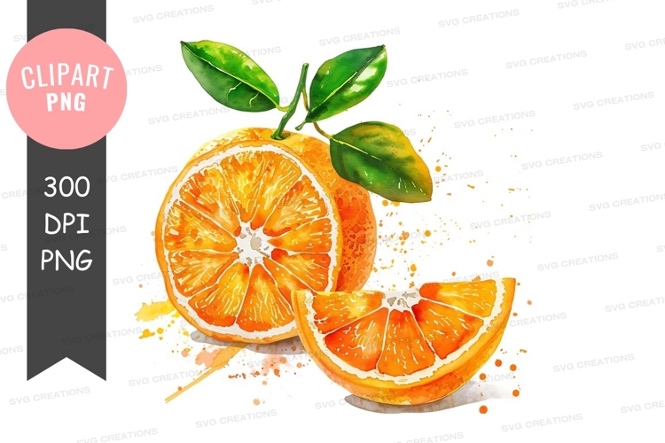 Vegetables PNG Image 19