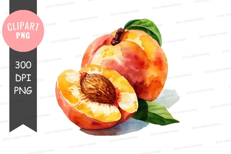 Peach Clipart Image 6
