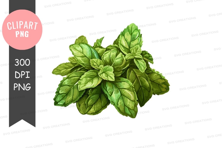 Vegetables PNG Image 6