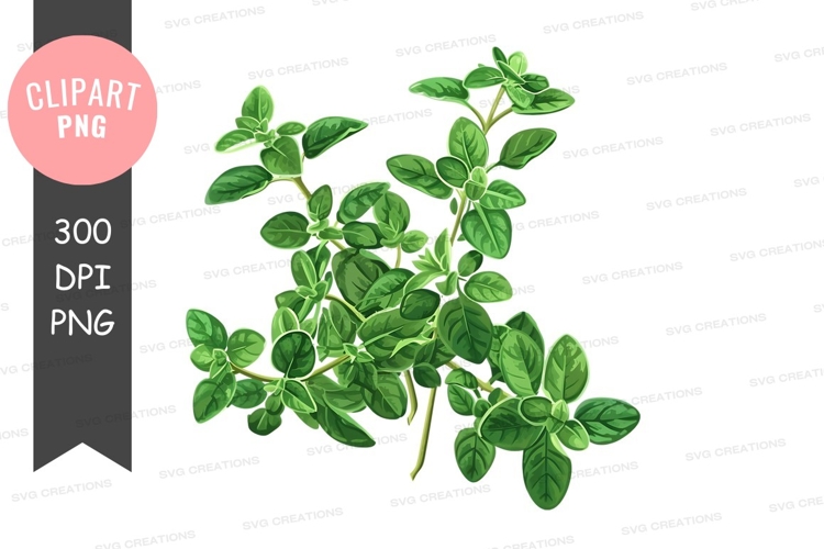 Blätter Png Image 22