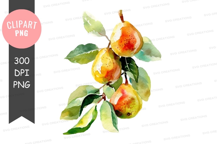 Pear Clipart Image 17