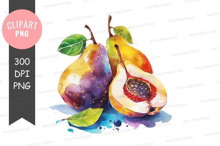 Pear Clipart Image 16