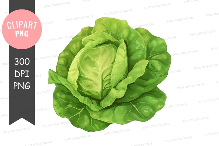 Food Illustration Image 5