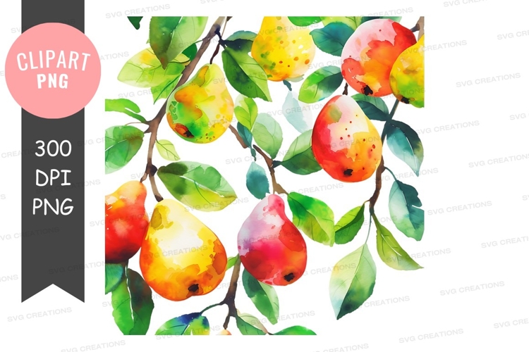 Citrus Clipart Image 17