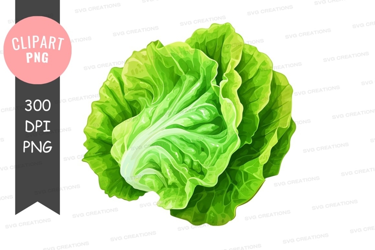 Vegetables PNG Image 22
