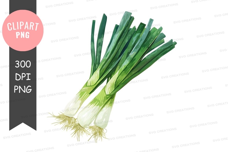 Vegetables PNG Image 21