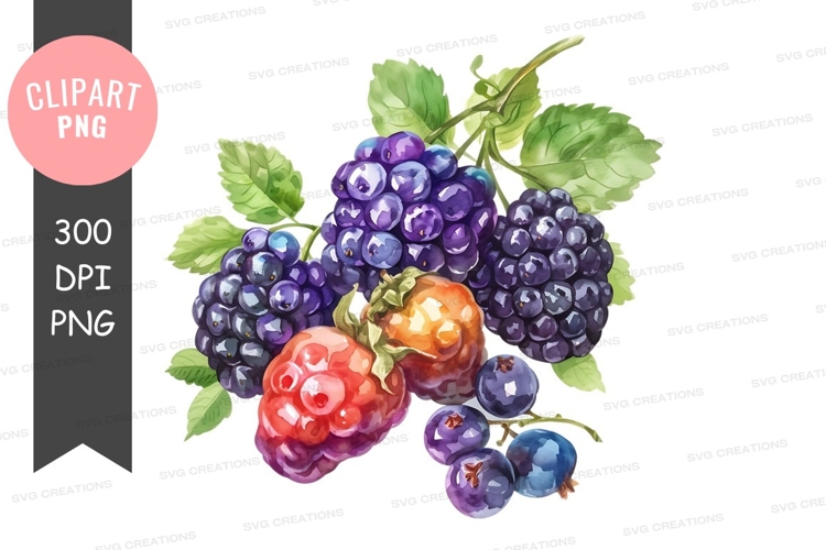 Blackberries Png Image 16