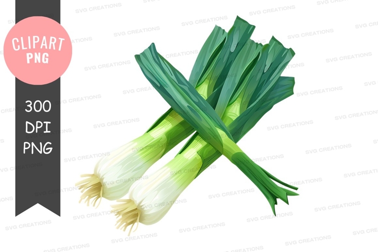 Vegetables PNG Image 19