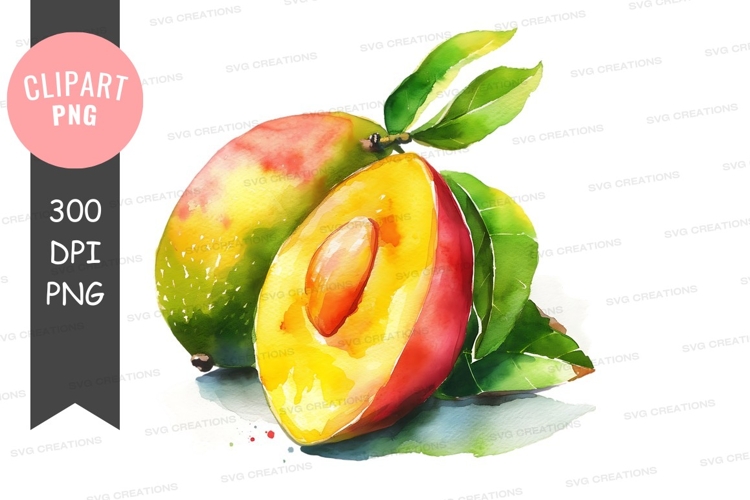 Mango Illustration Image 13