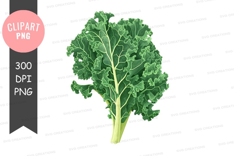 Leaf Clipart Image 19