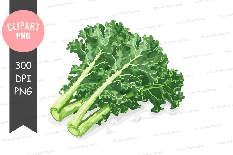 Vegetable Clipart Image 10