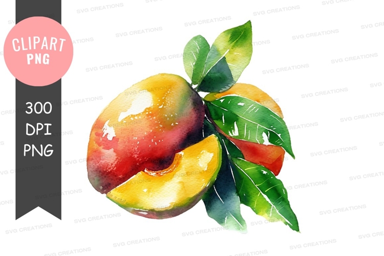 Mango Illustration Image 10