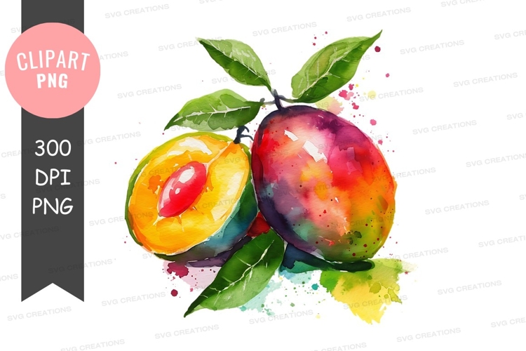 Mango Illustration Image 9