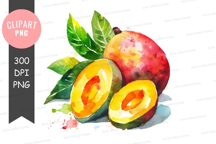 Mango Illustration Image 8