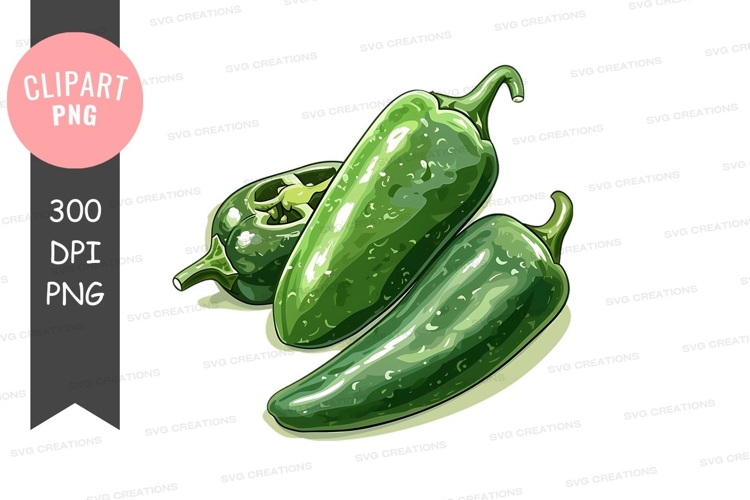 Vegetable Illustration Image 7