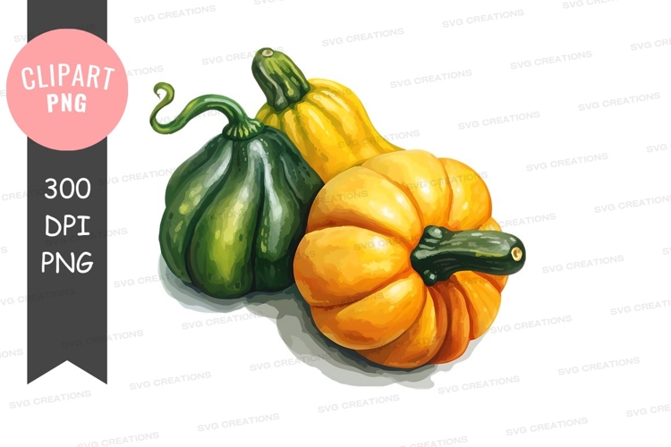Squash Clipart