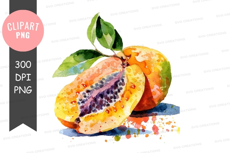 Fruit Illustration Image 8