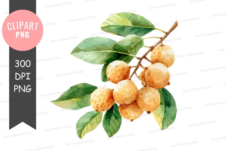 Fruit Clipart Image 20