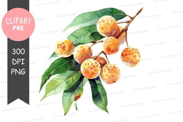 Fruits Png Image 9