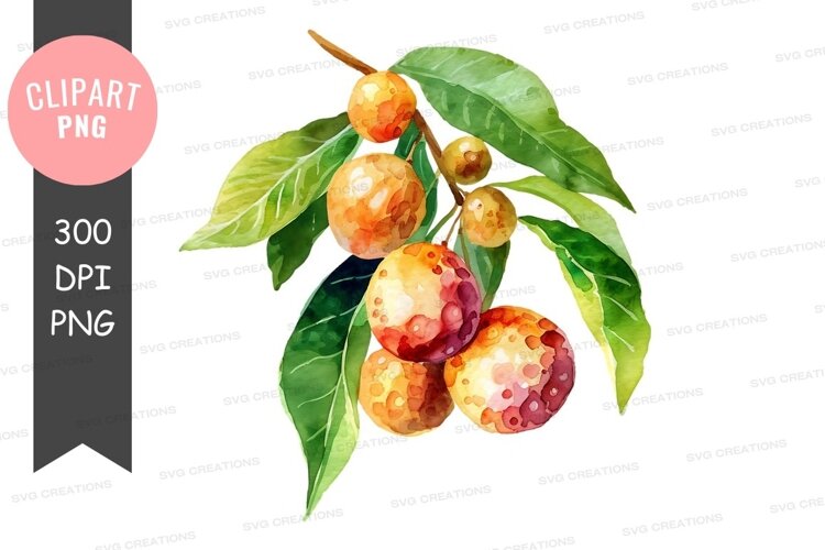 Watercolor illustration of citrus fruits example image 1