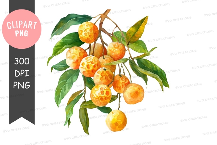 Citrus Clipart Image 23