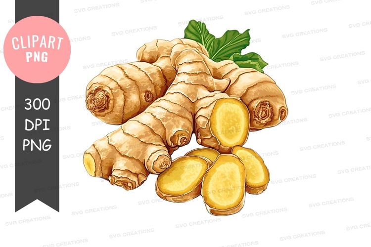 Vegetables PNG Image 7