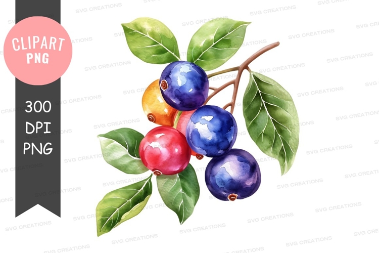 Berry Clipart Image 18