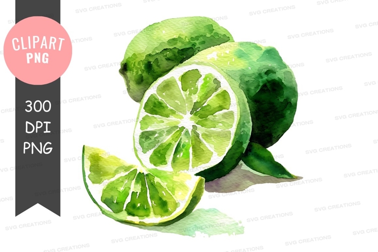 Citrus Clipart Image 22