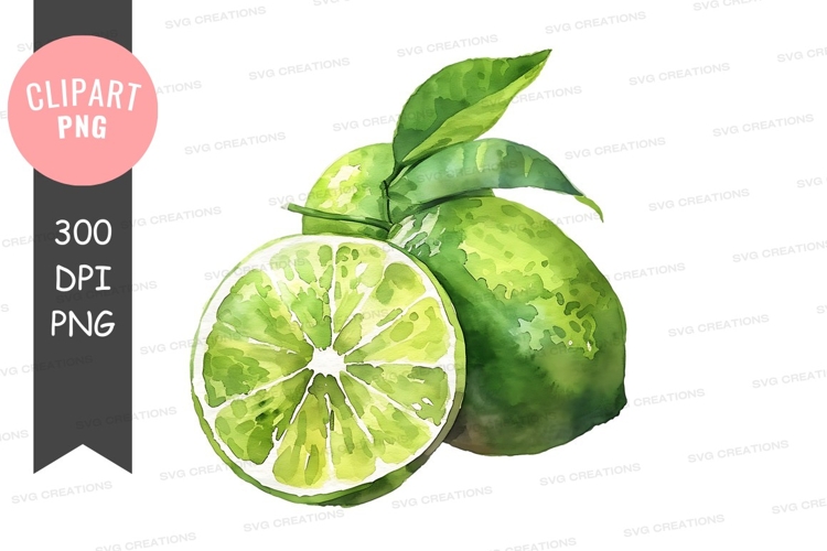 Citrus Clipart Image 21